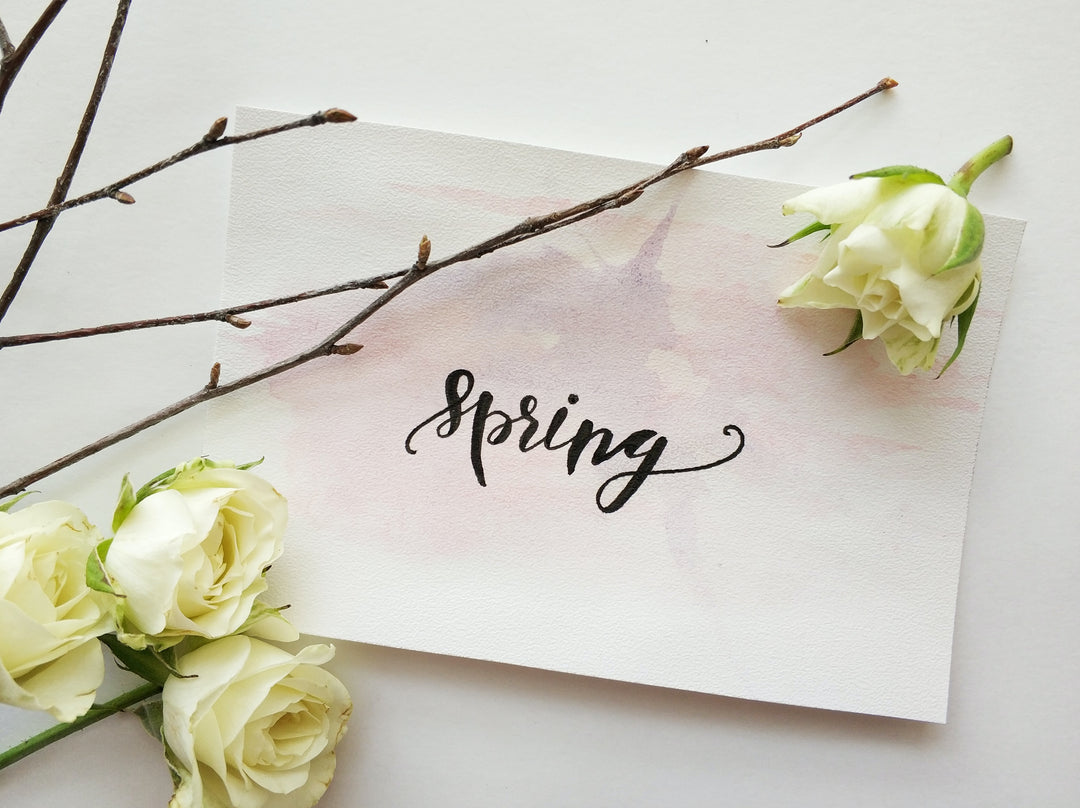 Spring Activities Guide: Romeo Merino 